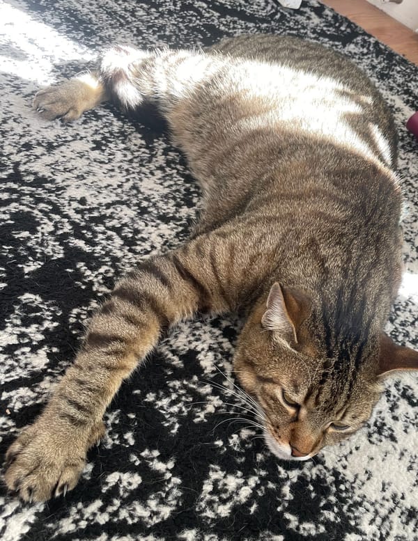 I’ll Be Smarter Tomorrow